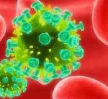 Rakovina u HIV infikovaných