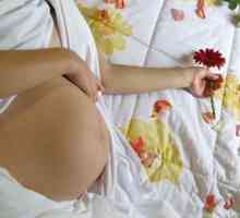 Poranění pohlavních orgánů v průběhu těhotenství