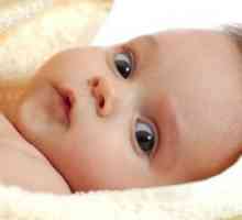 Časný vývoj kojence mozku