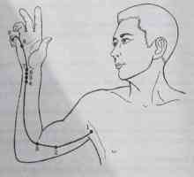 Umístění a anatomie těla bodů pro aromaterapii. srdce Meridian