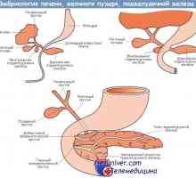 Patogeneze chronického selhání ledvin. Bludný kruh selhání ledvin