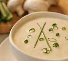 Recepty polévky pankreatitida: zeleniny, stravě, šťouchané brambory, kuřecí maso, sýr, který může…