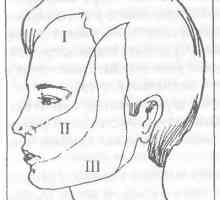 Role trojklanného nervu bolest obličeje