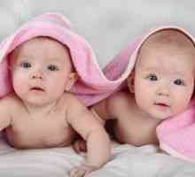 Narození dvojčat, pravděpodobnost narození