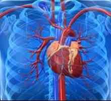 Srdeční selhání v aterosklerotických cardiosclerosis, léčba, příčiny
