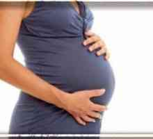 Systémový lupus erythematodes a těhotenství