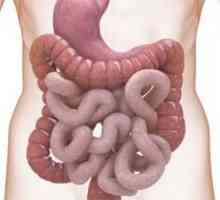 Sklerodermie a gastrointestinální trakt