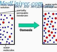 Vztah mezi osmotickým tlakem a osmolarity. Osmolarita tělesných tekutin
