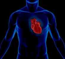 Statistiky kardiovaskulární systém