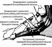 Nohy, kotníku a spodní třetina tibie záření a diagnostiku nástroje