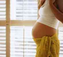 Jak lze zjistit, kolik týdnů těhotenství. Jak určit gestační stáří? Stanovení doby porodu