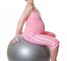 Co cvičení nemůže být provedeno pro těhotné ženy. Cvičení pro těhotné ženy v termínu. Gymnastika…