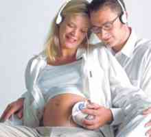 CTG plod během těhotenství. Ultrazvuku a CTG plod během těhotenství. Musím CTG plodu během…