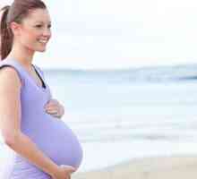Móda pro těhotné 2013. Vybíráme oblečení pro těhotné a kojící matky