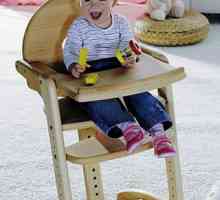 Volba vysoká stolička pro dítě. Židle pro typy napájecích a výběrových kritérií. Volba židličku