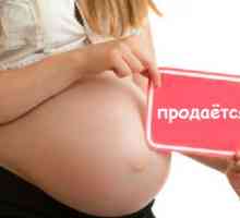 Zákon o surrogacy v roce 2012. Legislativa upravující používání náhradního mateřství na Ukrajině