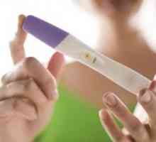 HCG hodnoty mimoděložní těhotenství beremennosti.vnematochnaya stává skutečnou tragédií pro ženu,…