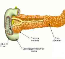 Pankreatu tělo