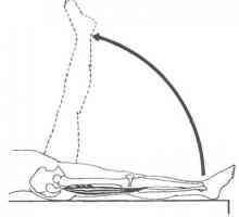 Testování zkrácených svalových skupin kolenních flexory, což má za následek stehenních svalů