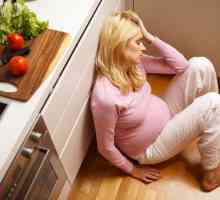 Larvální toxokaróza v těhotenství