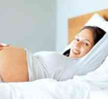 Třetí doba porodní (vypuzení placenty)