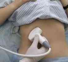 Ultrazvuk (ultrazvuková diagnostika) slinivky břišní, míra velikosti těla