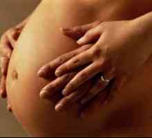 HIV, AIDS, těhotné ženy, HIV infekce během těhotenství