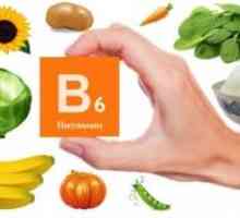Vitamin B6: selhání, metabolická porucha