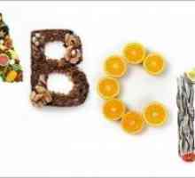 Vitaminy: vitamin A (retinol), vitamin B, vitamin C, vitamin E, vitamin D, vitamin K