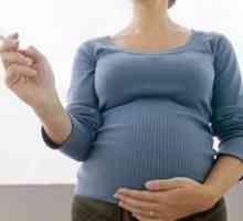 Vliv kouření na těhotenství a vývoj plodu nenarozeného dítěte