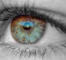 Sklivce oční onemocnění