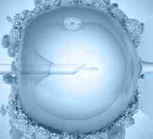 Zácpa po přenosu embrya (IVF)