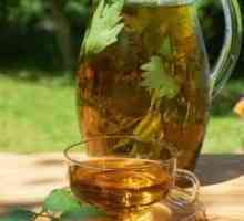 Zelený čaj s pankreatitidou (pankreatu), Kombucha, můžu pít?
