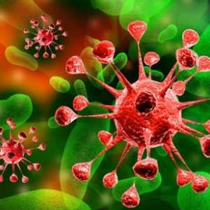 Infekci adenovirem: léčba, příznaky, prevence