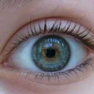 Acanthamoeba keratitida očí: léčba, symptomy, diagnózu
