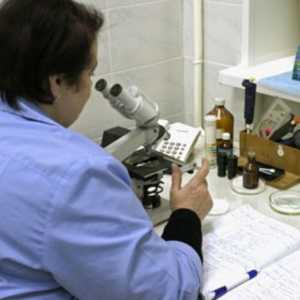 ALT a AST testy normou v krvi, zvýšení ceny za pankreatitida