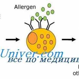 Rozhovor (anamnéza) pro alergie u dítěte. Identifikace alergenu