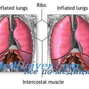 Kapacita respiračního membrány. Difúzní kapacity pro kyslík