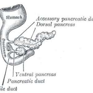 Aditivum (aberantní) pankreas