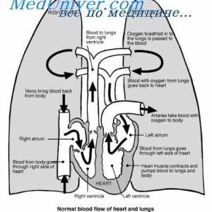 Jednotlivá dávka plicní intoxikace. Výhody a nevýhody použití predikce Yedil