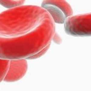 Hemoglobin (hemoglobinopatie)