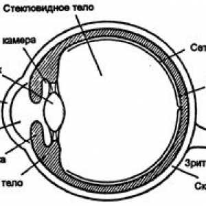 Oko jako optický přístroj