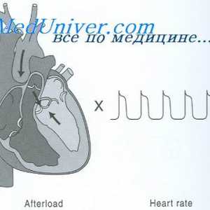 Zvýšení srdečního výdeje. hypertrofie myokardu