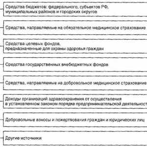Ekonomické základy zdraví v Ruské federaci. Zdroje financování zdravotnictví