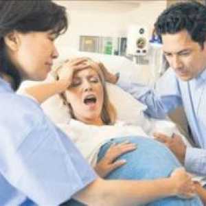 Endokrinní kontrola porodu