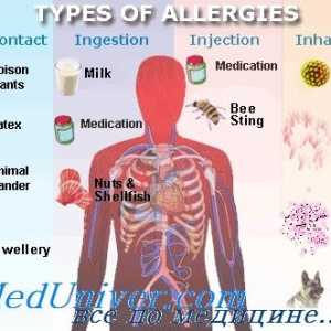 Epidemiologie (prevalence) alergická onemocnění atopie