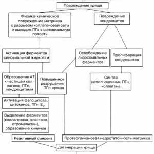 Etiologie a patogeneze osteoartrózy