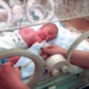 Krvácení u novorozenců a předčasně narozených dětí: příčiny, první pomoc, léčba, symptomy