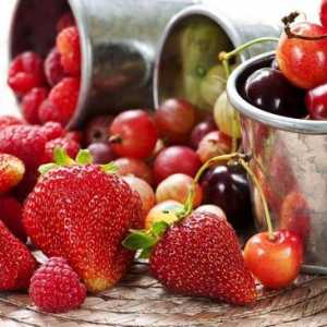 Sušené meruňky, švestky, hrozny, rakytník řešetlákový: Některé plody a sušené ovoce může být…