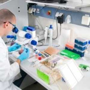 Laboratorní a pomocný výzkum v urologické